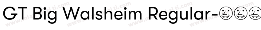 GT Big Walsheim Regular字体转换